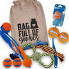 STUFF YOUR SACK Dog Gift Basket/Christmas Stocking with Toys and Gift Bag for All Breed Sizes